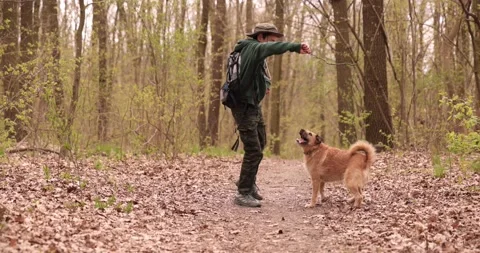 Happy boy is having fun playing in the park forest with a beautiful dog. Stock-Footage 153275523