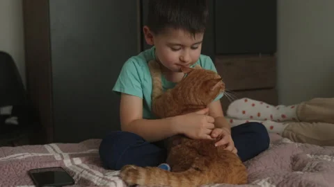 Happy boy hugging and playing his favorite cat in the bedroom sitting on the bed Stock Footage 236850717