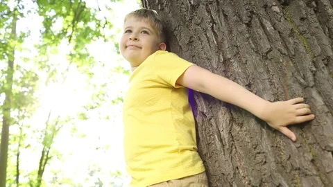 Happy boy is hugging a tree in a park. Stock Footage 78577228