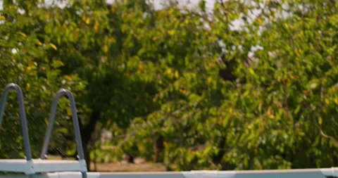 Happy boy with inflatable ring jumps in the pool, enjoys swimming in the pool Stock Footage 261582027
