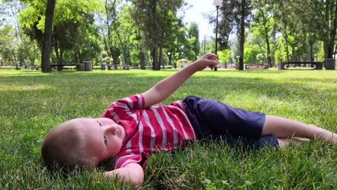 A happy boy lies in the grass, stroking her and looking at the sky. Sometimes so Stock Footage 134440210