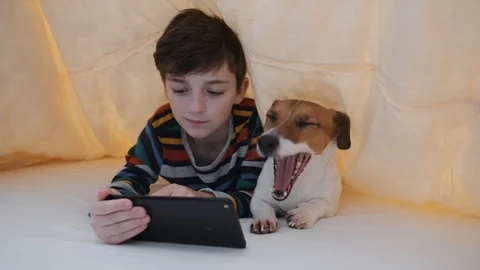 A happy boy is lying in bed under a blanket with his dog and plays on the tablet Video stock 105268634
