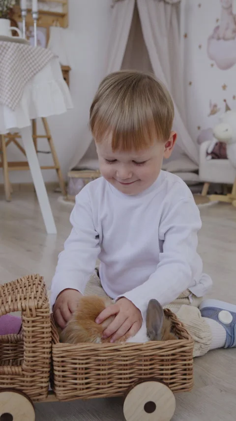 Happy boy playing with fluffy bunny. Easter fluffy bunny symbol of Easter Stock Footage 306386251