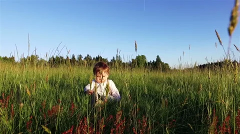Happy boy is playing with the grass. Stock Footage 63118587