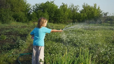 Happy boy playing hosing on backyard 스톡 동영상 50503574
