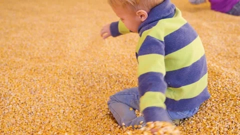 Happy boy is playing with kernels Video stock 135833822