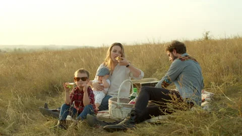 Happy boy playing with parents during picnic Stock Footage 140753799