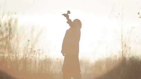 Happy boy playing with a toy bird. The playful child with a toy at sunrise. Stock Footage 59100483