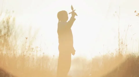 Happy boy playing with a toy bird. The playful child with a toy at sunrise. Stock Footage 59100900