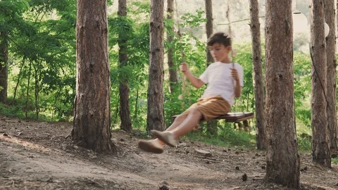 Happy boy riding on a swing in a pine forest in a city park in summer Video stock 96389147