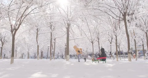 Happy boy running on a snow, pulling sled with girl Stock Footage 229943202