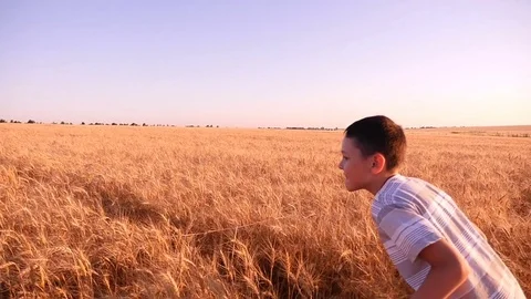 Happy boy runs along the ripe wheatfield in Ukraine a sunny day in summer Stock Footage