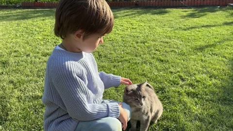 Happy boy toddler is hugging and playing with his favorite grey cat in the yard Stock Footage 279798564