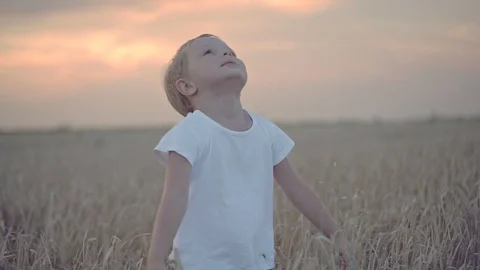 Happy boy in wheat field with wind turbines Stock Footage 91354959
