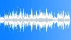 Happy BPM Acoustic Music with Trumpet Stock Music