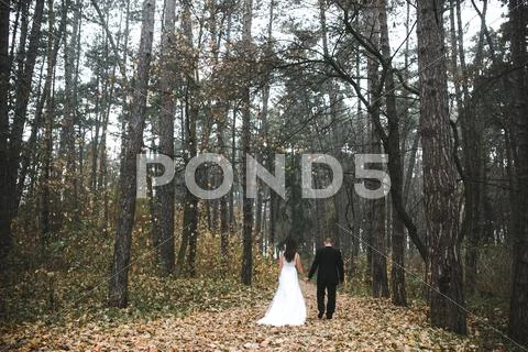 Happy bride and groom posing in the autumn forest Stock Photos