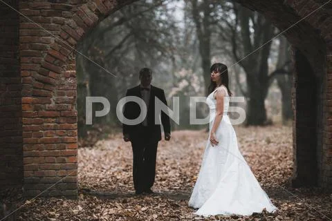Happy bride and groom posing in the autumn forest Stock Photos