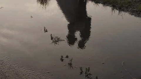 Happy bride and groom on reflection of the newlyweds in the water. 库存影片 104513302