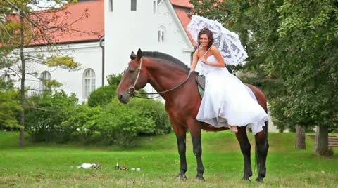 Happy bride sitting on horse Stock Footage 24673406