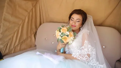 Happy Bride in the Wedding Carriage Stock Footage 87749873