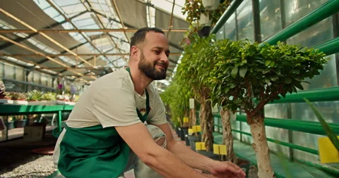Happy brunette guy in a green apron a greenhouse worker examines a small tree Stock Footage 280680422