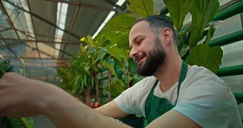 A happy brunette man with a beard in a green apron is engaged in growing plants Stock Footage 280690396