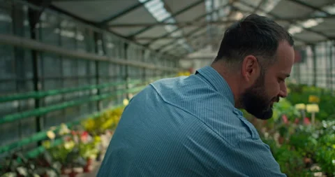 Happy brunette man with a beard A visitor to a greenhouse walks along the Stock Footage 280696957