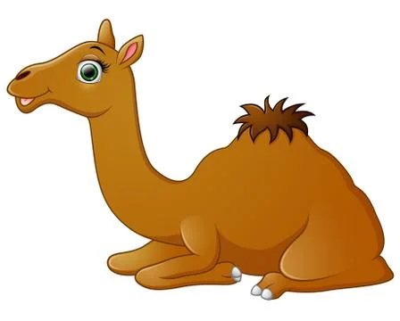 Happy camel cartoon lying down Stock Illustration