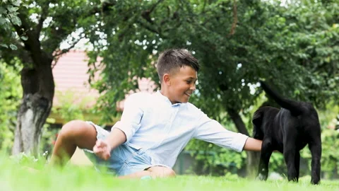Happy catching up games between boy and puppy Stock Footage 139211373