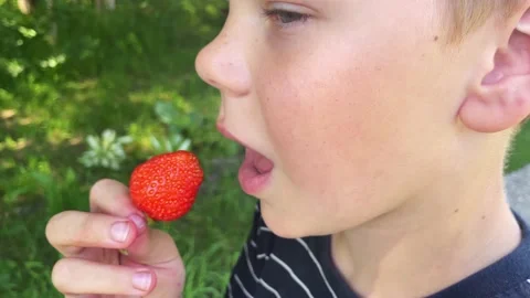Happy Caucasian boy eats strawberries Stock Footage 201753951