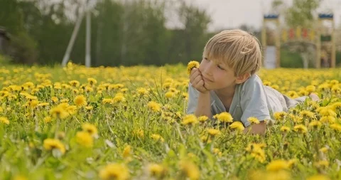 Happy caucasian boy lying on a spring meadow and looking away. Cute child lie Stock Footage 107731464