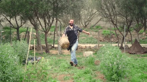 Happy cheerful man jumping with basket plenty of vegetables Video stock 171432053