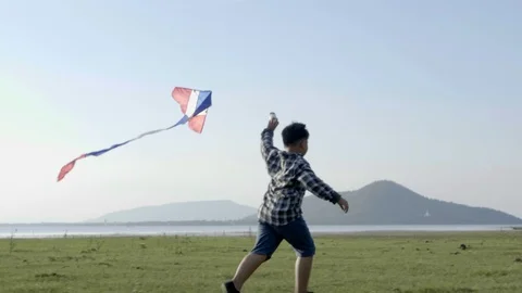 Happy child boy with a kite running on meadow and sunlight in summer Stock Footage 100334187