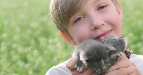 Happy child with kittens in hands is sitting on the lawn while sunny summer.. Stock Footage 237480305