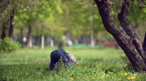 Happy child playing on grass Stock Footage 62500429
