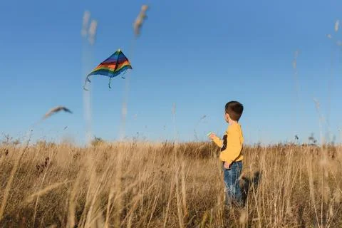 Happy child playing with a kite while running on meadow, sunset, in summer .. Stock Photos