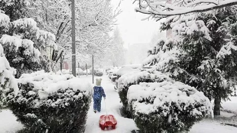 Happy Child Riding Sled During Snowy Winter Day in City Park Stock Footage 326422124