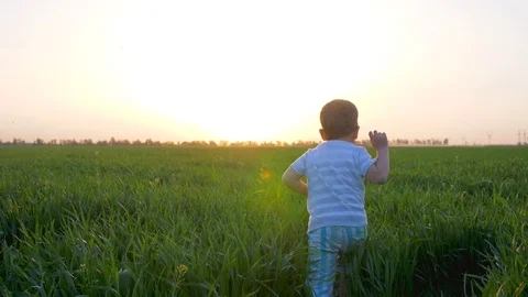 Happy child running into green field, joyful kid jumps into grass at sunset Stock Footage
