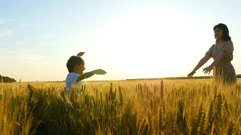 A happy child runs into the arms of her mother over a wheat field, after which Stock Footage 110575341