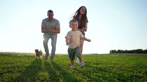 Happy child runs on grass field while parents chase at sunset outdoors. Boy Stock Footage 346786545