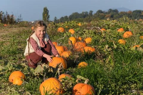 Happy child sitting in pumpkin patch Stock Photos