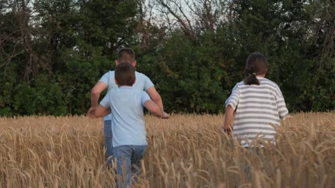 Happy children running through wheat field. Cheerful children kids siblings Stock Footage 312662732