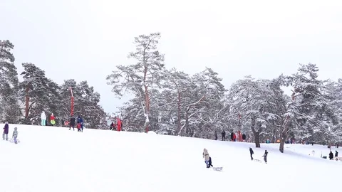 Happy children sledding down on snow in winter. Stock Footage 101029692