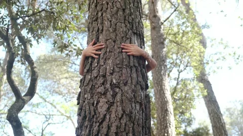 Happy childs hugs a tree with his hands. Forest environment. Stock Footage 238367357