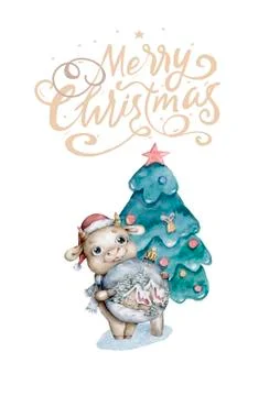 Happy Chinese new year set for greeting card. 2021 zodiac. Cute cow with gift Stock Illustration