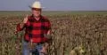Happy Confident Farmer Man Thumbs Up Sign Hand Gesture Sunflower Field Farming 4k or 4k+ Resolution