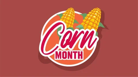 Happy corn month with delicious corn 스톡 동영상 327638208