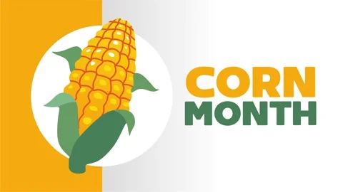 Happy corn month with delicious corn Stock Footage 327638219