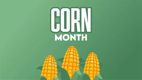 Happy corn month with delicious corn Stock Footage 327638389