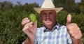 Happy Countryman Present Exotic Fruit Tropical Green Lime Thumbs Up Hand Sign 4k or 4k+ Resolution
